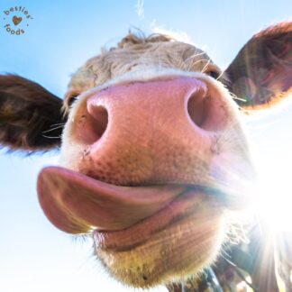 Beefy Collagen Bomb 1 szt.